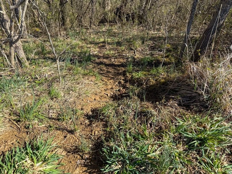 Fleming Petry 120-054