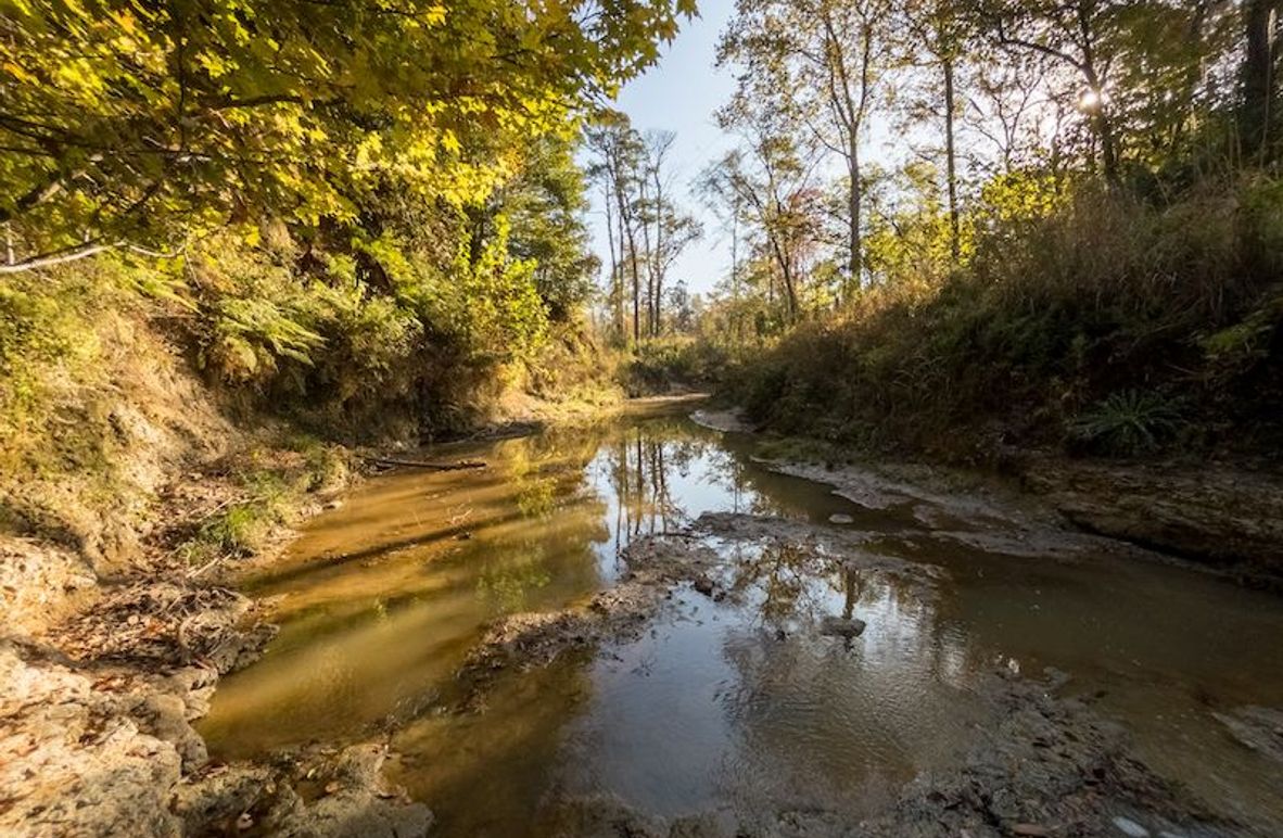 Claiborne Co-189-Geronimo-01