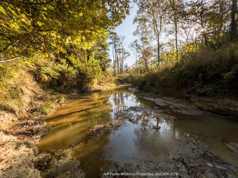 Claiborne Co-189-Geronimo-01