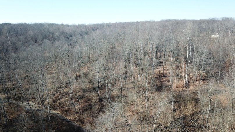 org_b48f480124ece54f_1702660218000