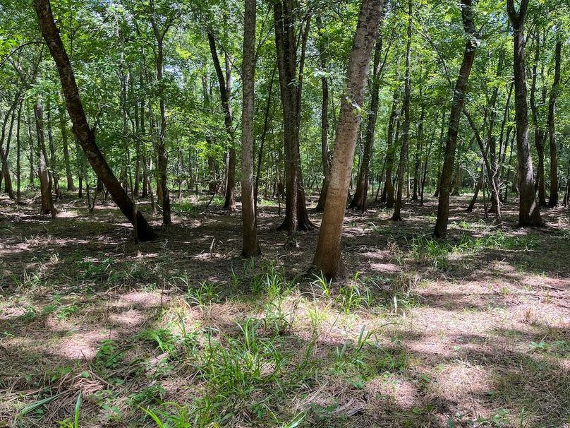 34 Leon Co. 117ac-28