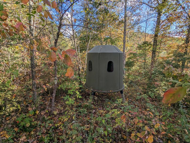 PXL_20231004_184503040