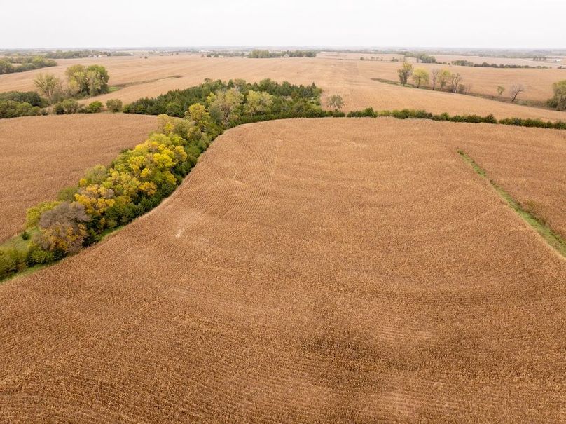 DJI_20251011101627_0127_D