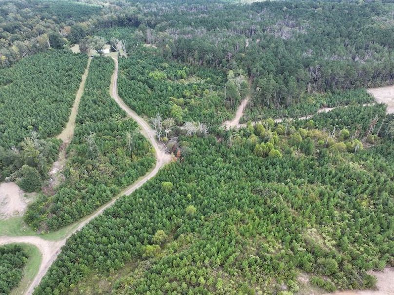 dji_fly_20251001_133218_0595_1759492697270_photo