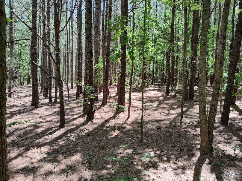 IMG_20250524_121835154_HDR