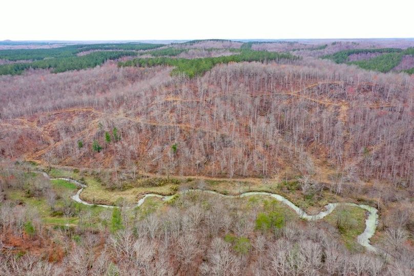 DJI_0427