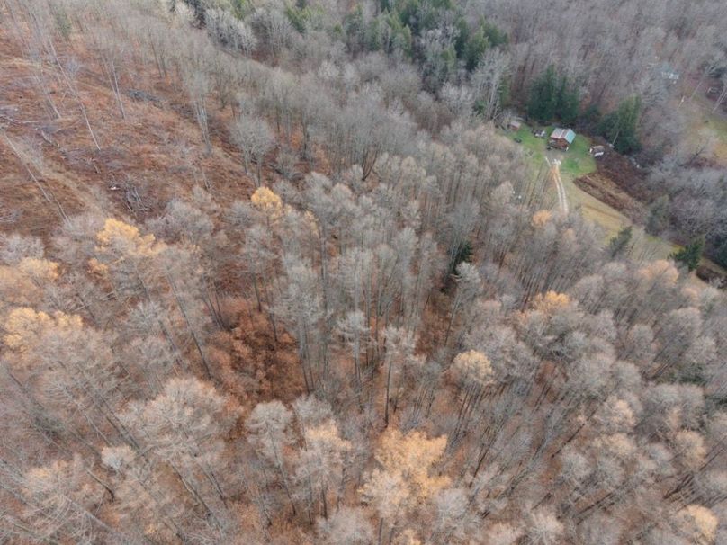 DJI_20251122115342_0073_D