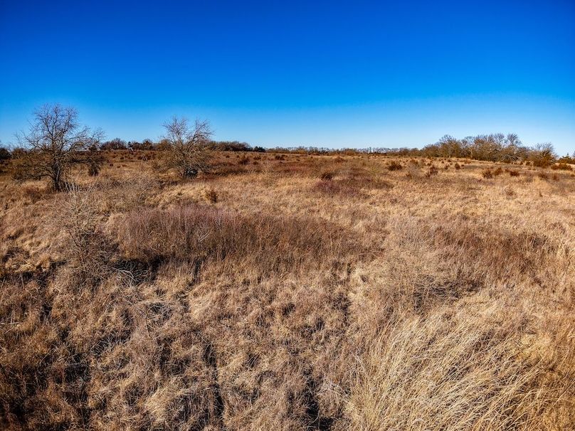 DJI_20260119144952_0837_D