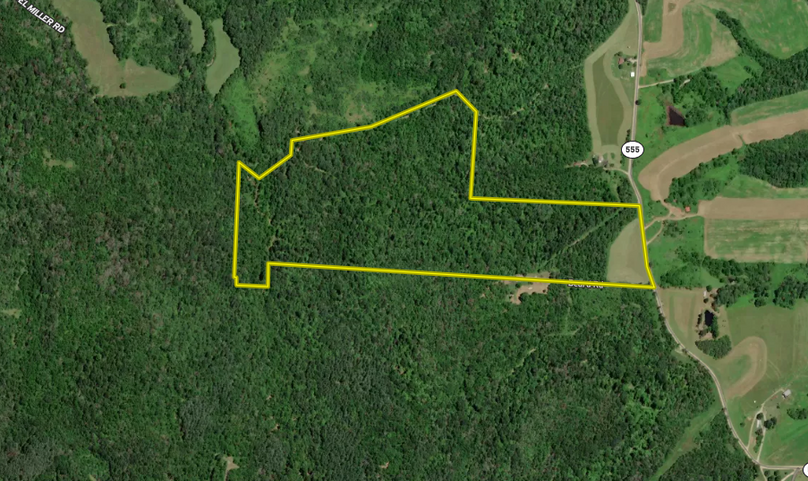 Screenshot 2024-01-16 at 3.58.44 PM