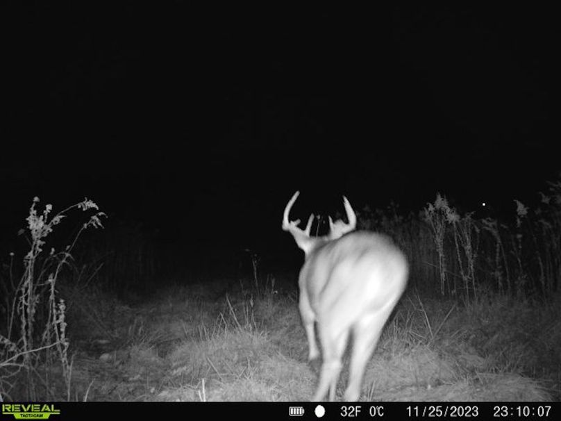 860322065128164-1-3-11252023231006-V-W1005990