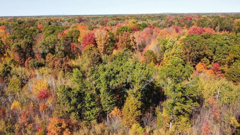 dji_fly_20241010_133842_436_1728585619258_photo_optimized