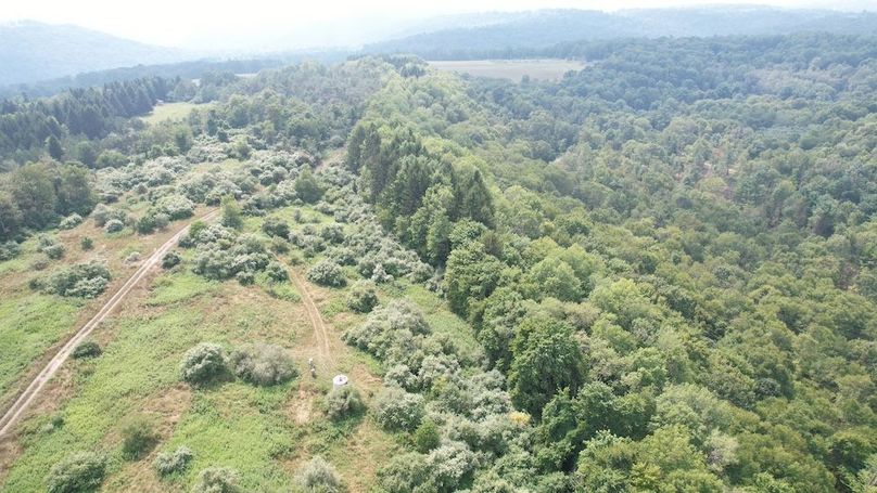 dji_fly_20250806_152110_619_1754528897439_photo