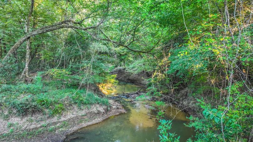 DJI_20250918081328_0126_D