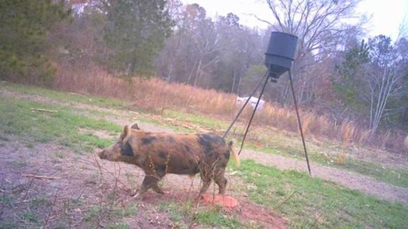 24030117370901005630