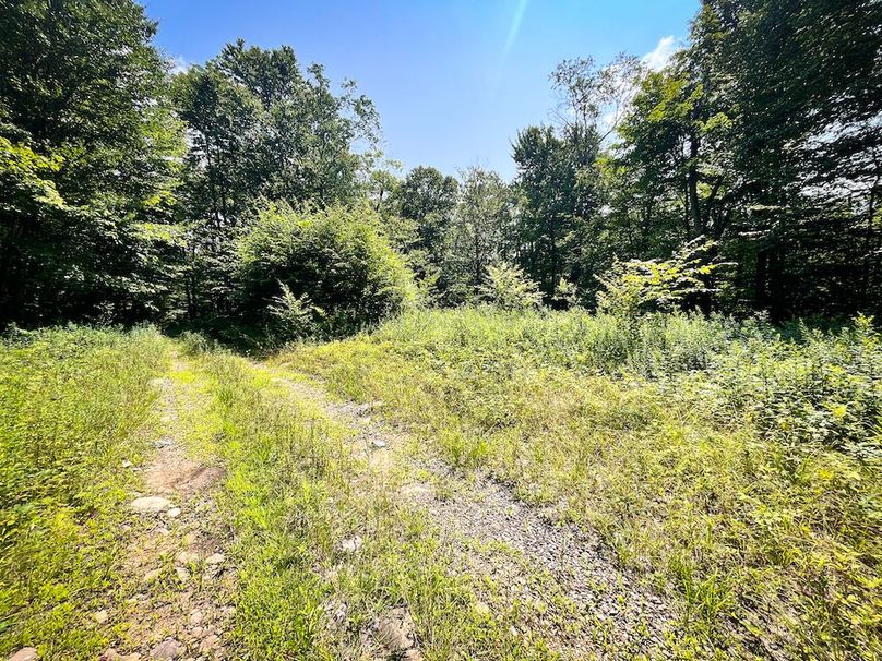 Oswego_100_Roof_Photos_49