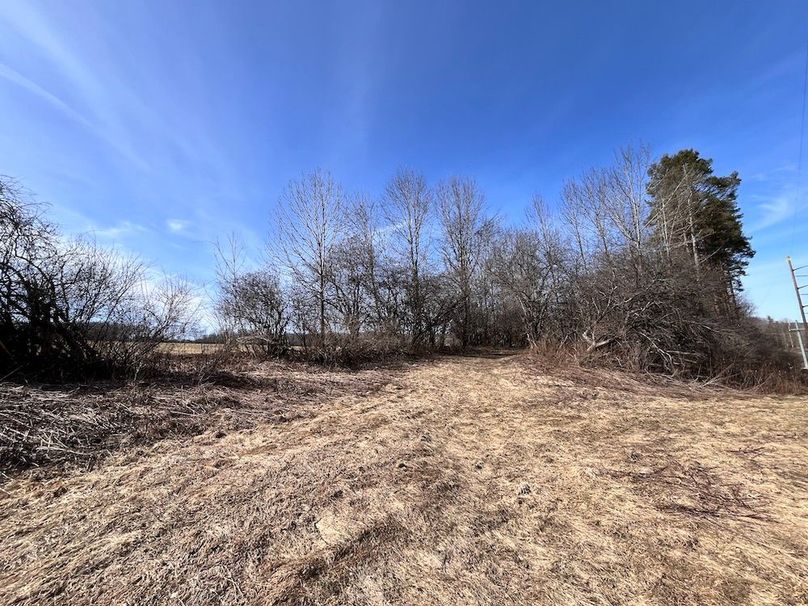 Lewis_26_Somberg Photo 45