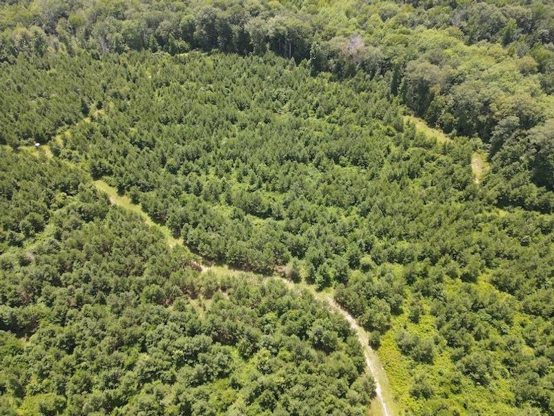 DJI_0368