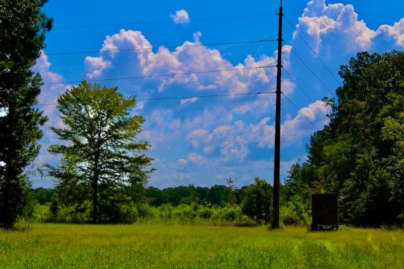 7BAFC8A3-1E65-426E-9170-F1621CDC834D_1_105_c