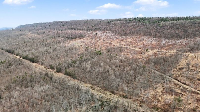 DJI_20260403151125_0052_D