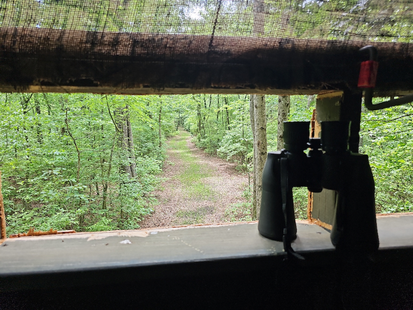 37.98ac_TempleRd_BGORE_11b_Blindview