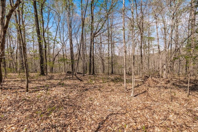 76-web-or-mls-0 Mound Creek Rd-46