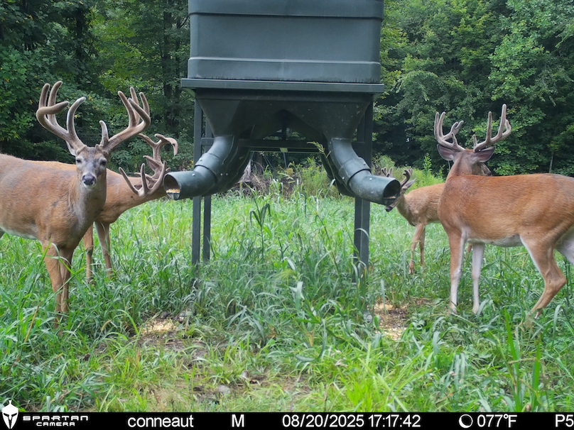 File Aug 20 2025, 6 46 40 PM