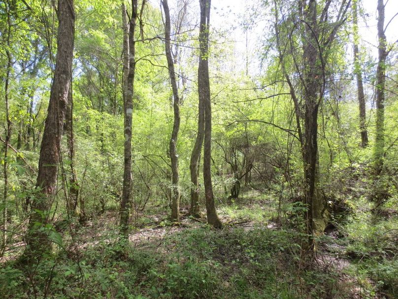 A966C7D8-1BF9-4C9A-B27B-B8FD9AA285E2_1_105_c