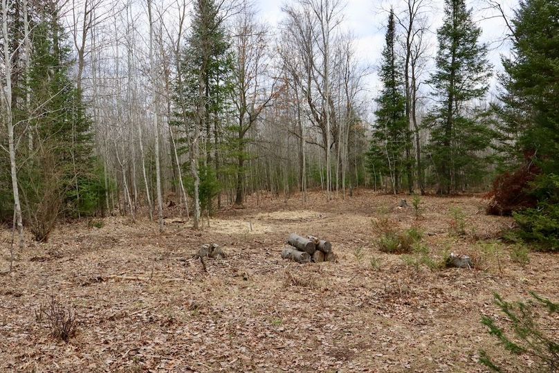 Copy of Copy of IMG_0481