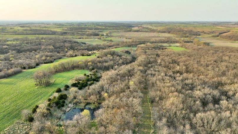 DJI_0301