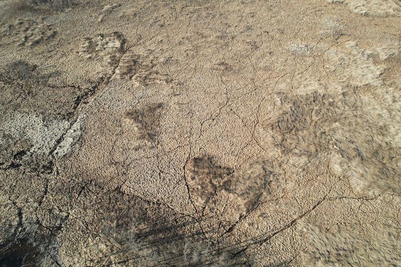 dji_fly_20260415_174632_176_1776293478249_photo