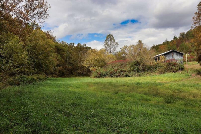 029 view from the backyard along the creek looking towards the barn