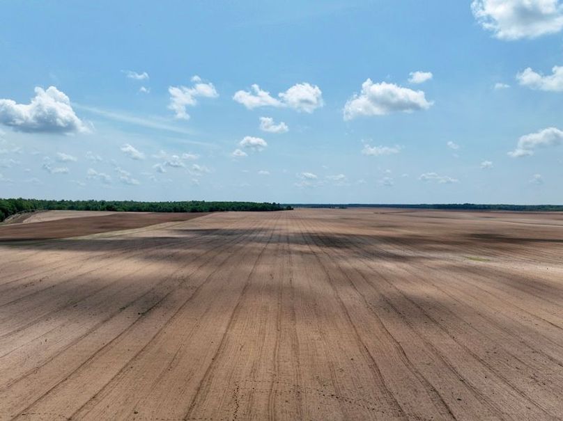 dji_fly_20250423_125914_778_1745428253963_photo