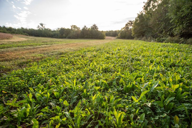 FREMONT CO. IA 158.32_37
