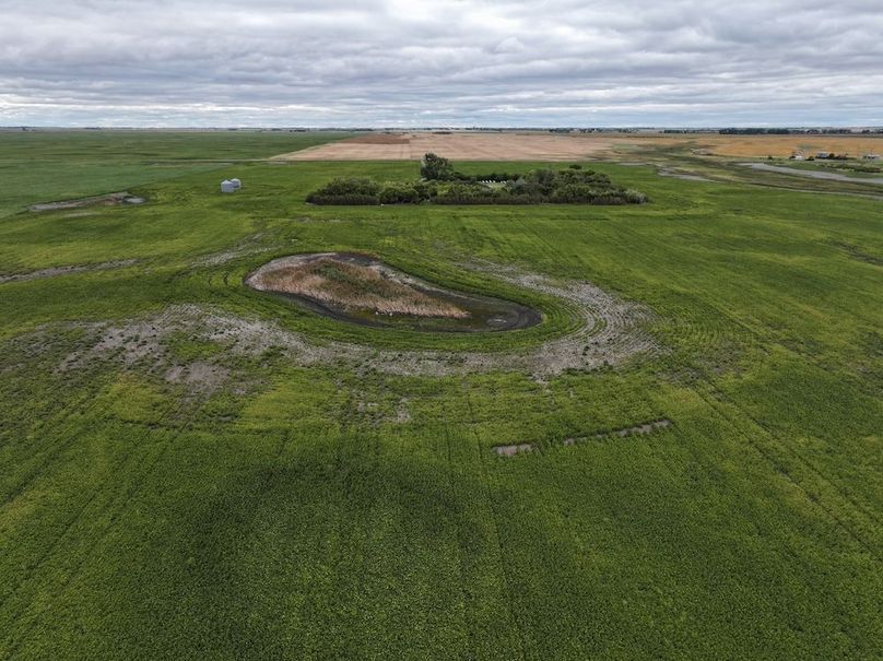 DJI_20250801161258_0722_D