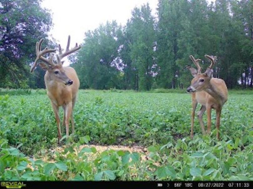 143eb4c0-291a-451c-995d-4cdd66feb675