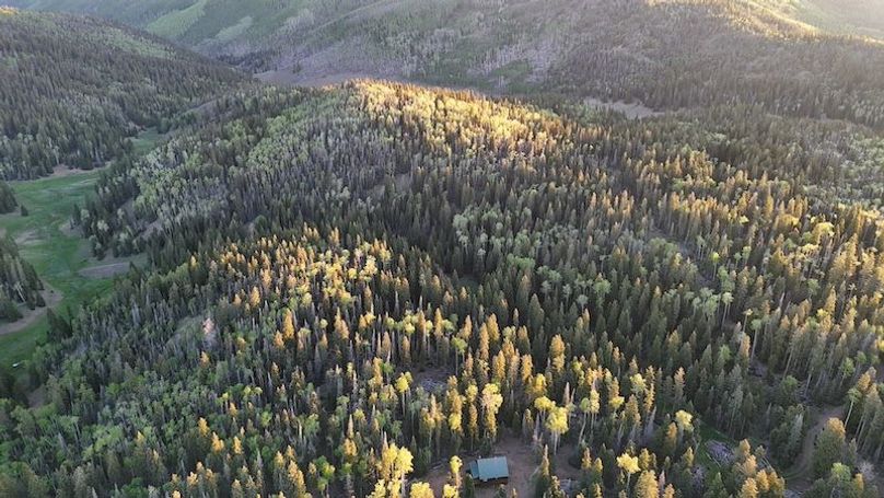DJI_20250614062219_0108_D