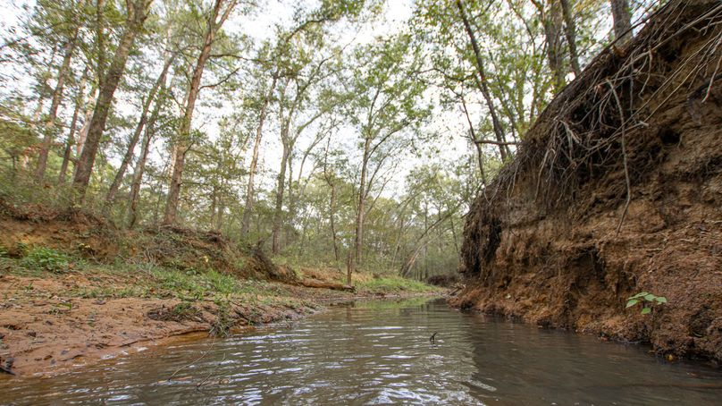 17 Upshur Co 603 ac Weise