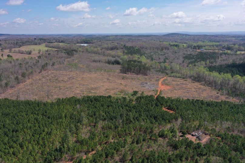 Copy of 400ftCardinal-5