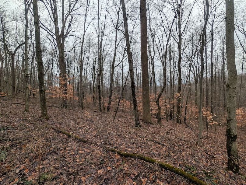 PXL_20260107_175133231