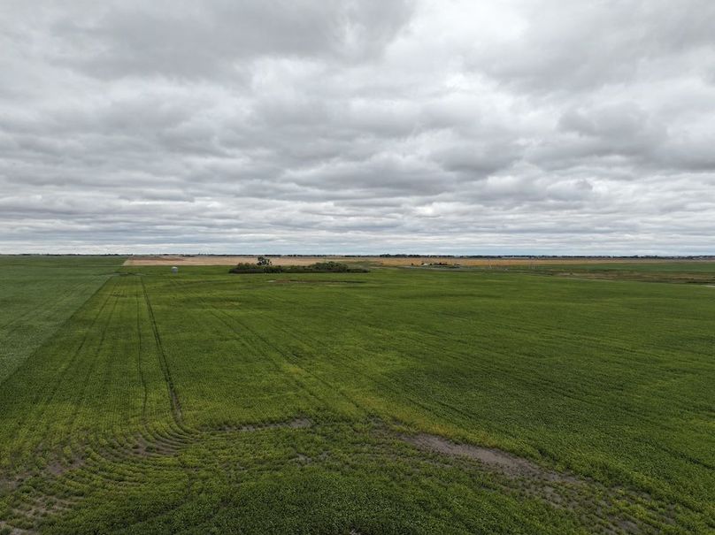 DJI_20250801163318_0737_D