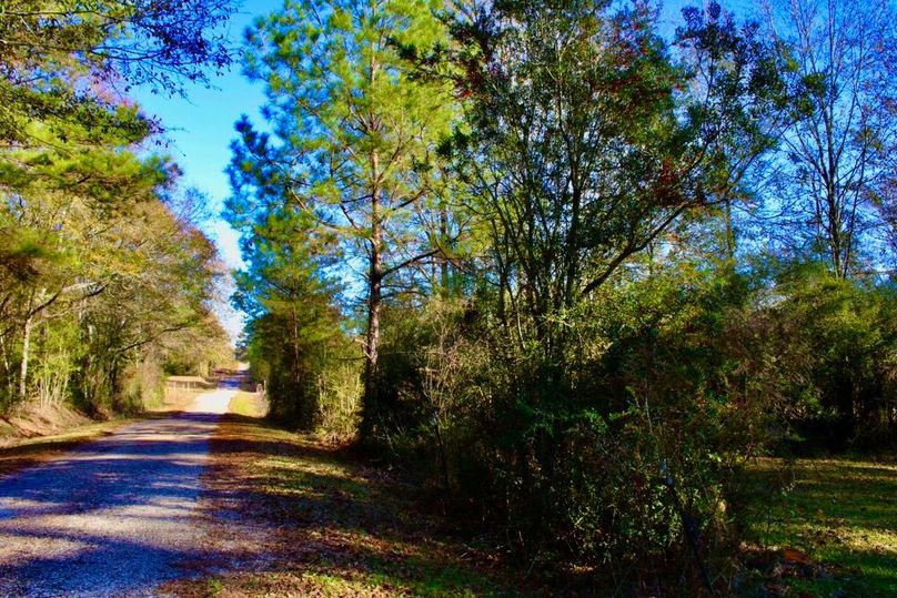 45560C09-7A61-4DD2-8205-581CB306F642_1_201_a-2