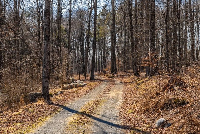 84-web-or-mls-IMG-84