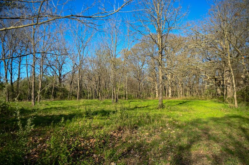 vandalia 450 (2)-2464