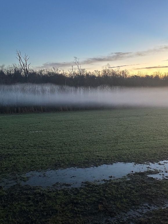 4FFB60B3-5B29-4BC9-B012-5029B0684F84