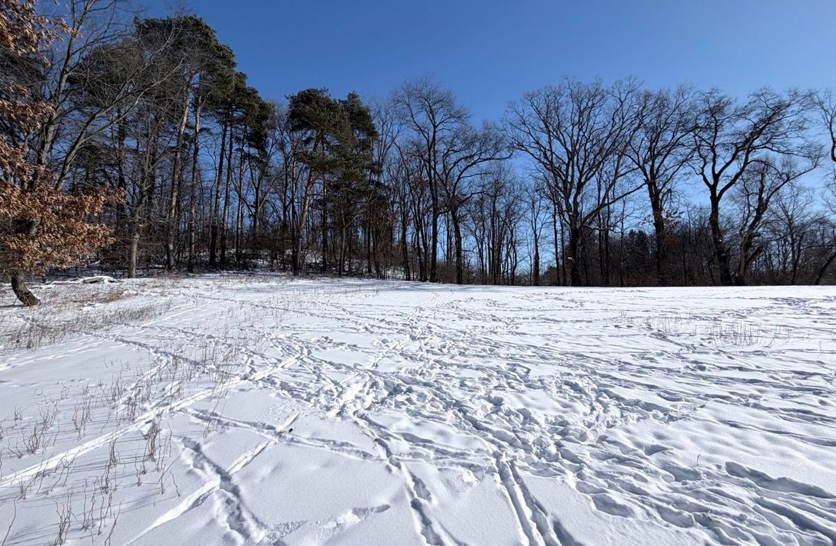 2.Copy of Tract 1 NE Corner Fieldd Large