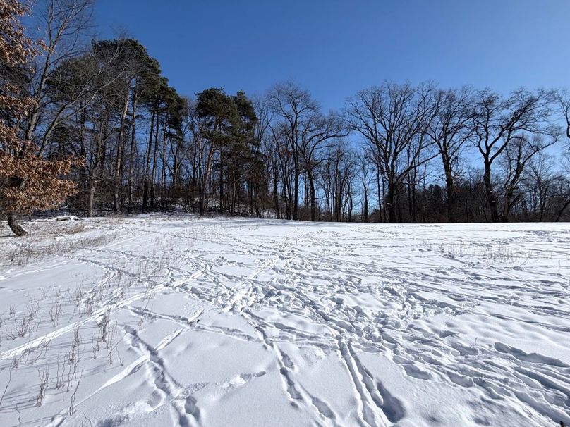 2.Copy of Tract 1 NE Corner Fieldd Large