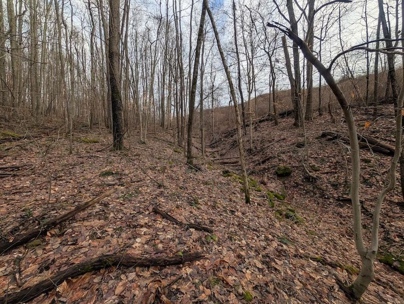 PXL_20260107_181306914