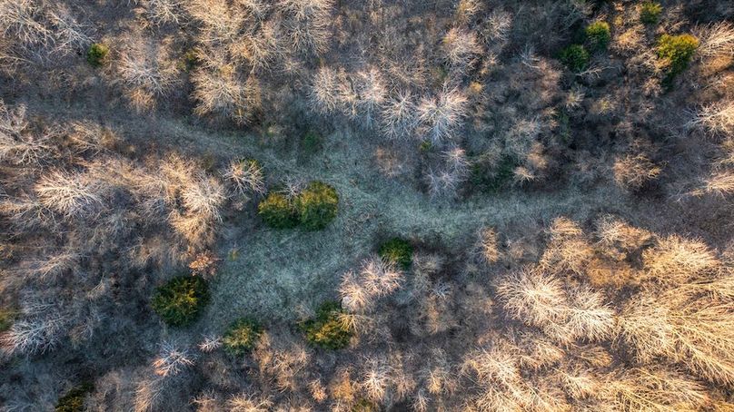 DJI_20251230074547_0007_D