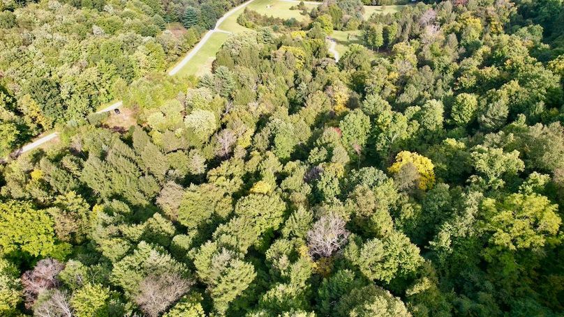 dji_fly_20240909_165540_633_1725915612800_photo