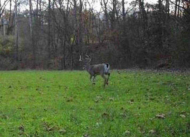 622EE8D3-E86F-4D71-B5B0-597E9AC30ACB_4_5005_c